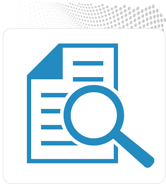 permitting and inspection software icon
