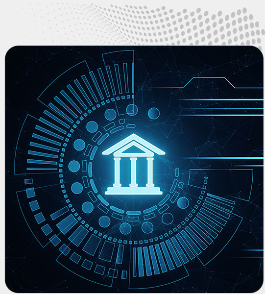 representation of local government software