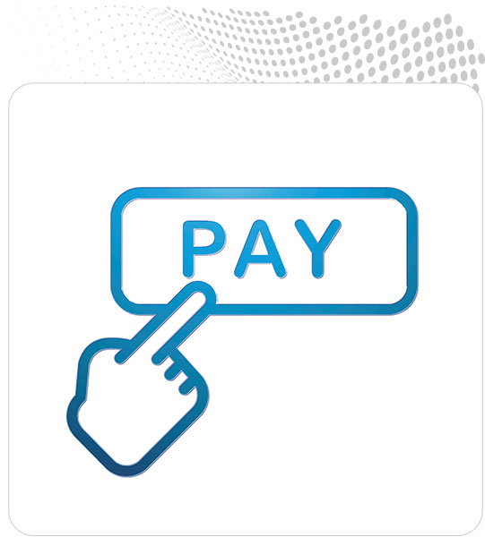 government online payment software representation